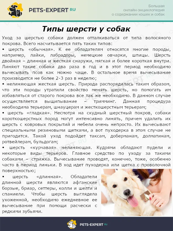 Типы шерсти у собак