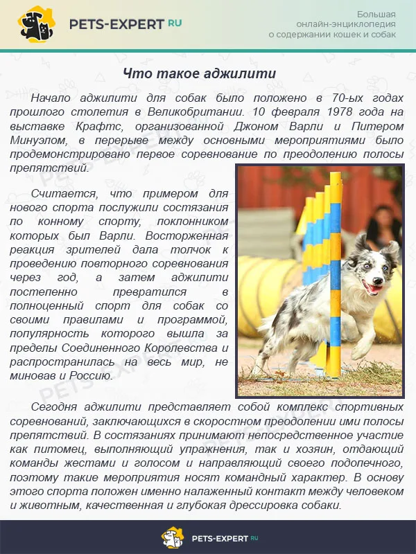 Что такое аджилити