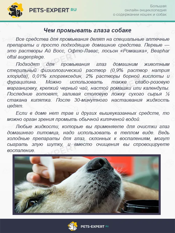 Чем промывать глаза собаке