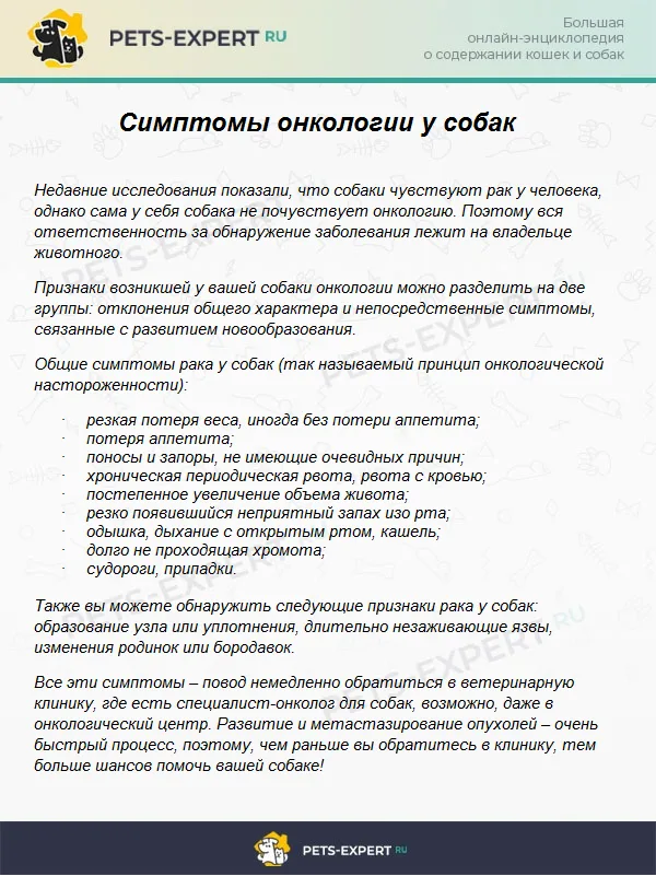 Симптомы онкологии у собак