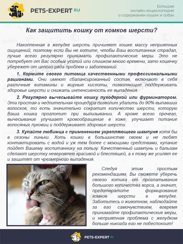 Как защитить кошку от комков шерсти?