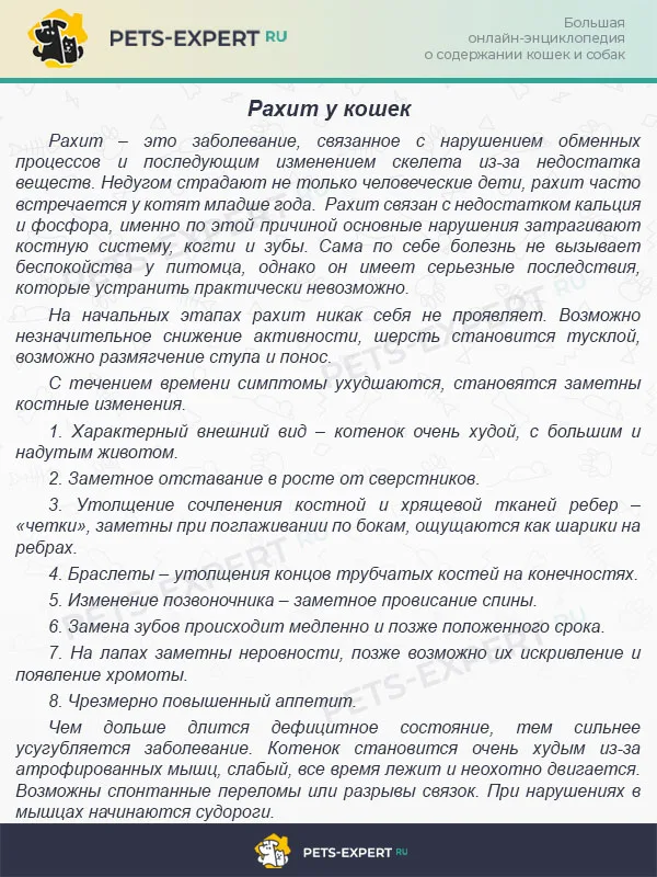 Рахит у кошек