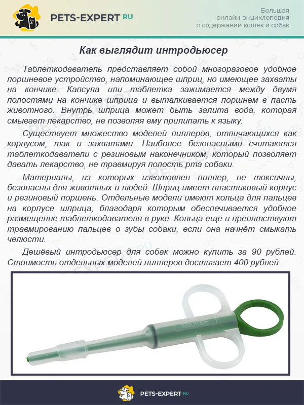 Как выглядит интродьюсер