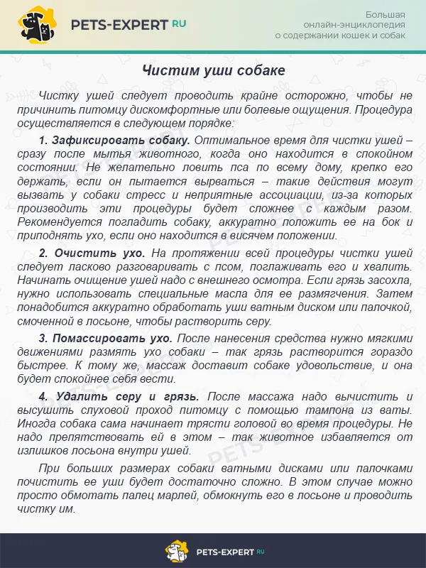 Чистим уши собаке