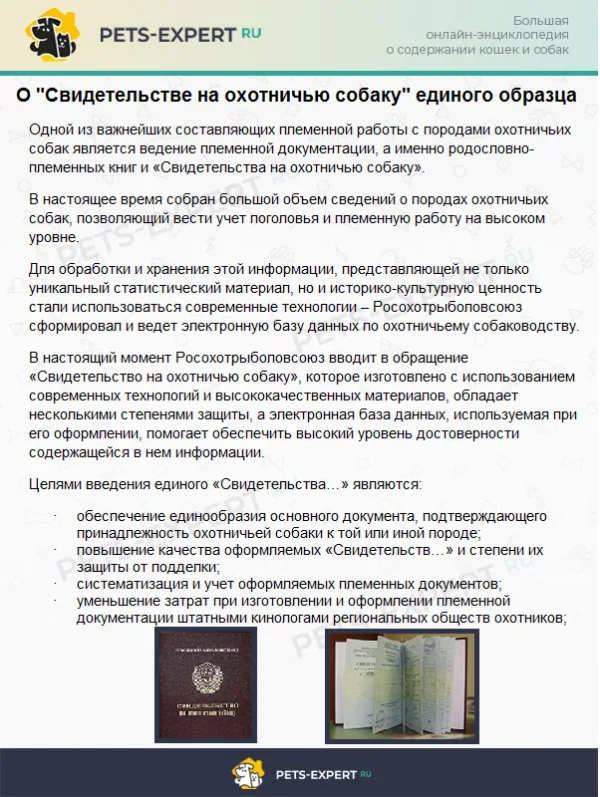 О "Свидетельстве на охотничью собаку" единого образца