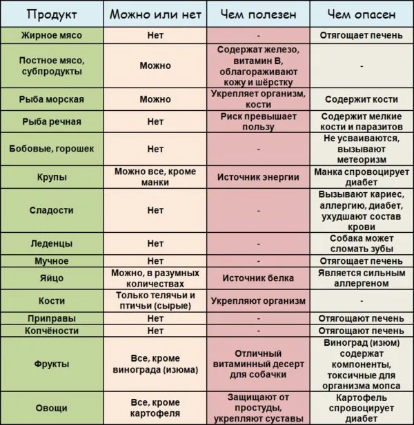 Не все натуральные продукты полезны для мопса