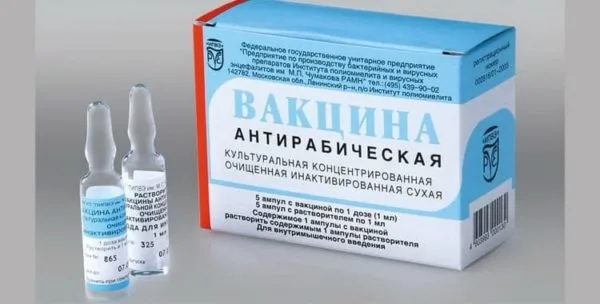 При выборе антирабической вакцины лучше посоветоваться с ветеринаром