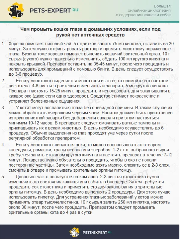 Чем промыть кошке глаза в домашних условиях, если под рукой нет аптечных средств