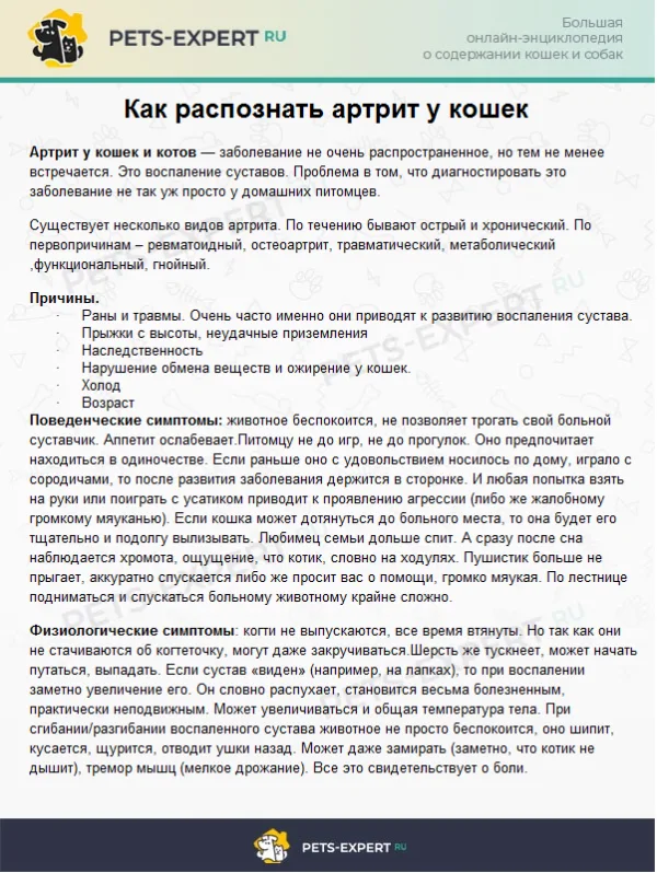 Как распознать артрит у кошек