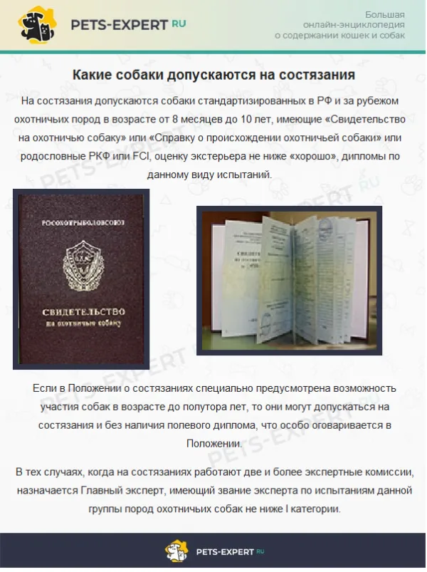 Какие собаки допускаются на состязания