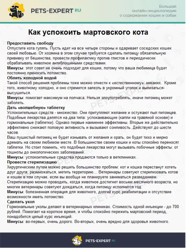 Как успокоить мартовского кота
