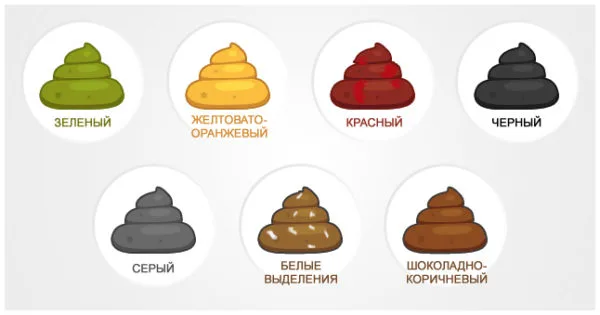 Виды кала у собак