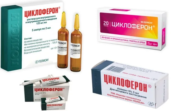 «Циклоферон» стимулирует производство иммунных гранулоцитов
