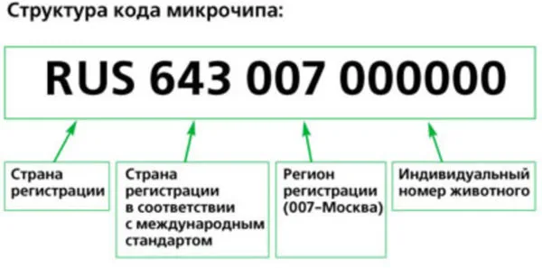 Структура кода микрочипа
