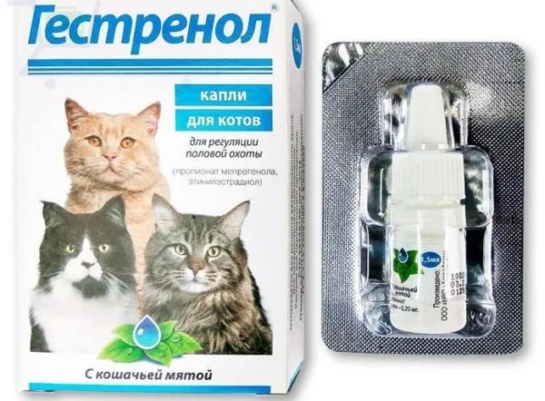 Капли дополнительно упакованы в защитный блистер