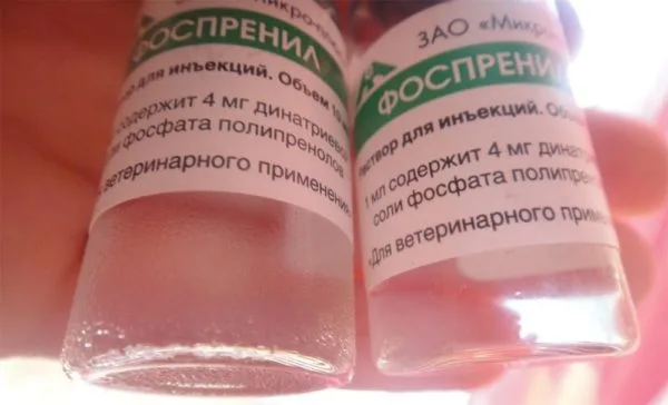 У «Фоспренила» нет специфических противопоказаний