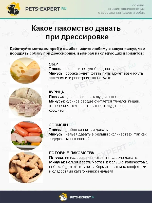 Какое лакомство давать при дрессировке
