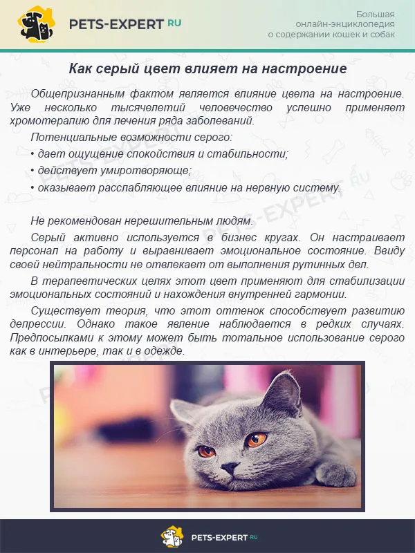 Как серый цвет влияет на настроение