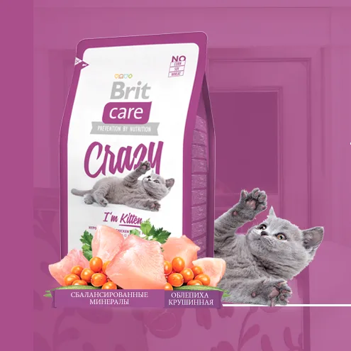 Корм Brit для котят