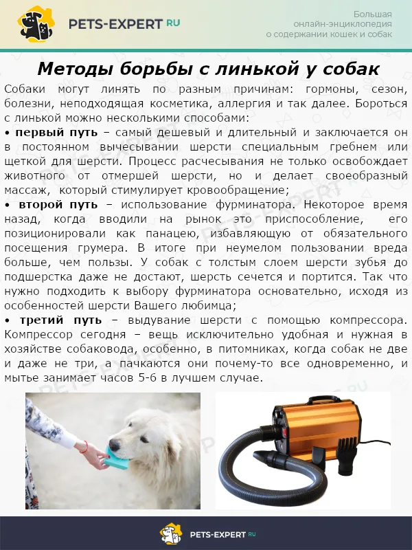 Методы борьбы с линькой у собак