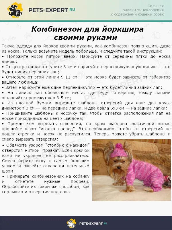 Комбинезон для йоркшира своими руками