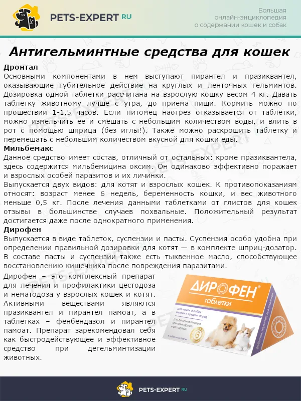 Антигельминтные средства для кошек