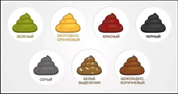 Виды кала у собак