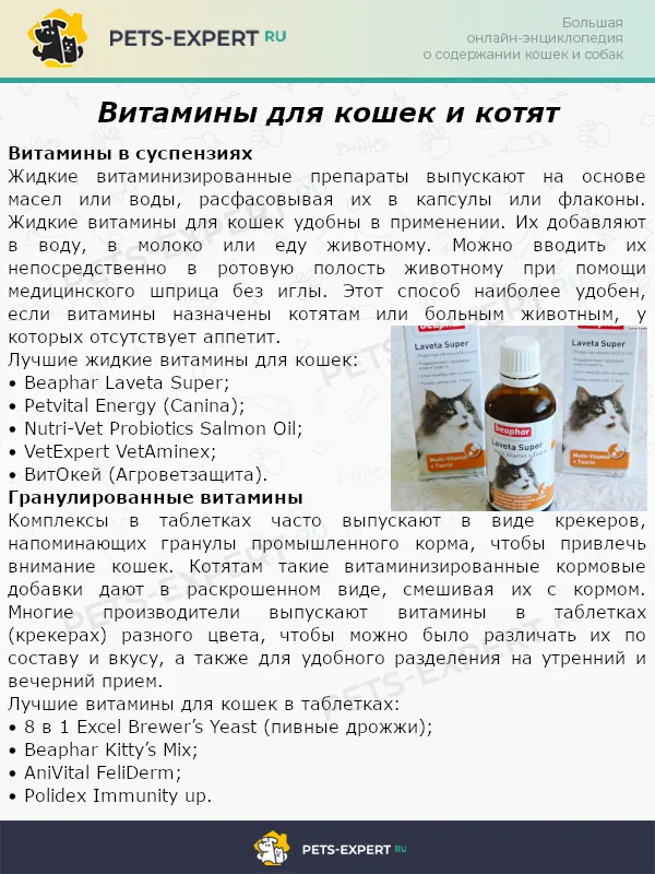 Витамины для кошек и котят