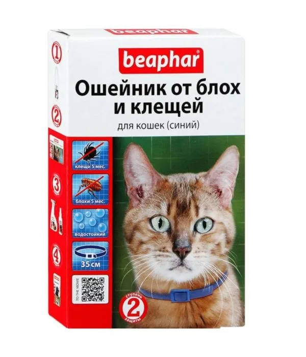 Ошейник от блох и клещей помогает обезопасить кошку при выгуле
