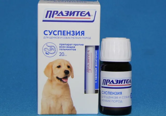 Празител для щенков