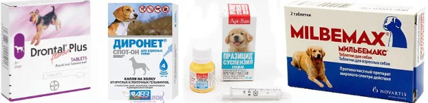 Средства для борьбы с глистами у собак