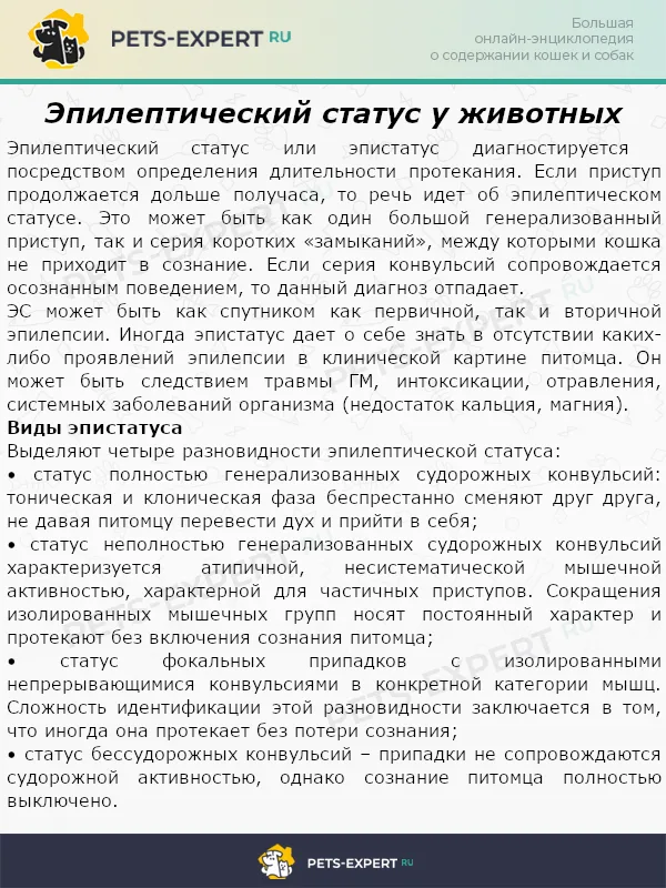 Эпилептический статус у животных