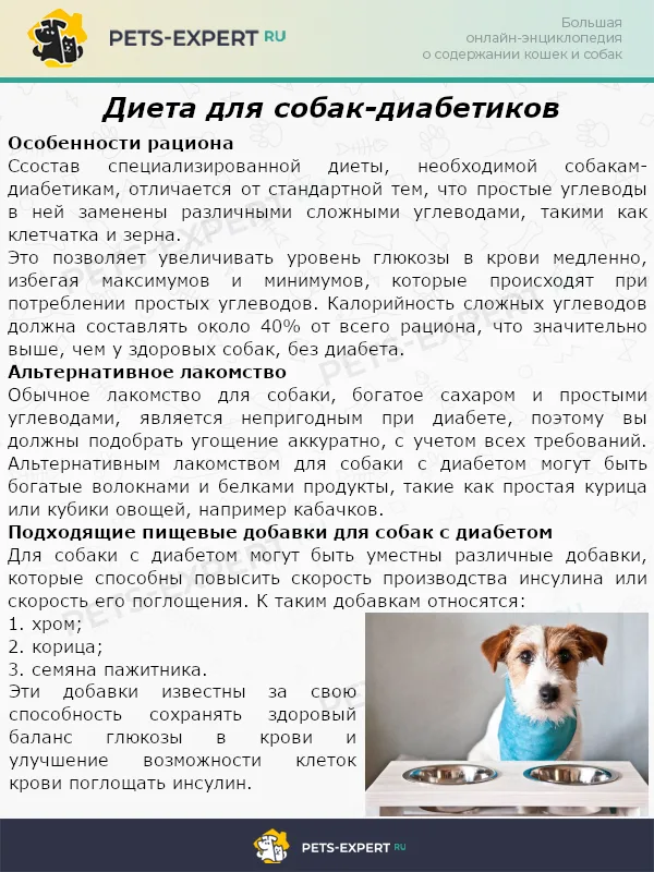 Диета для собак-диабетиков