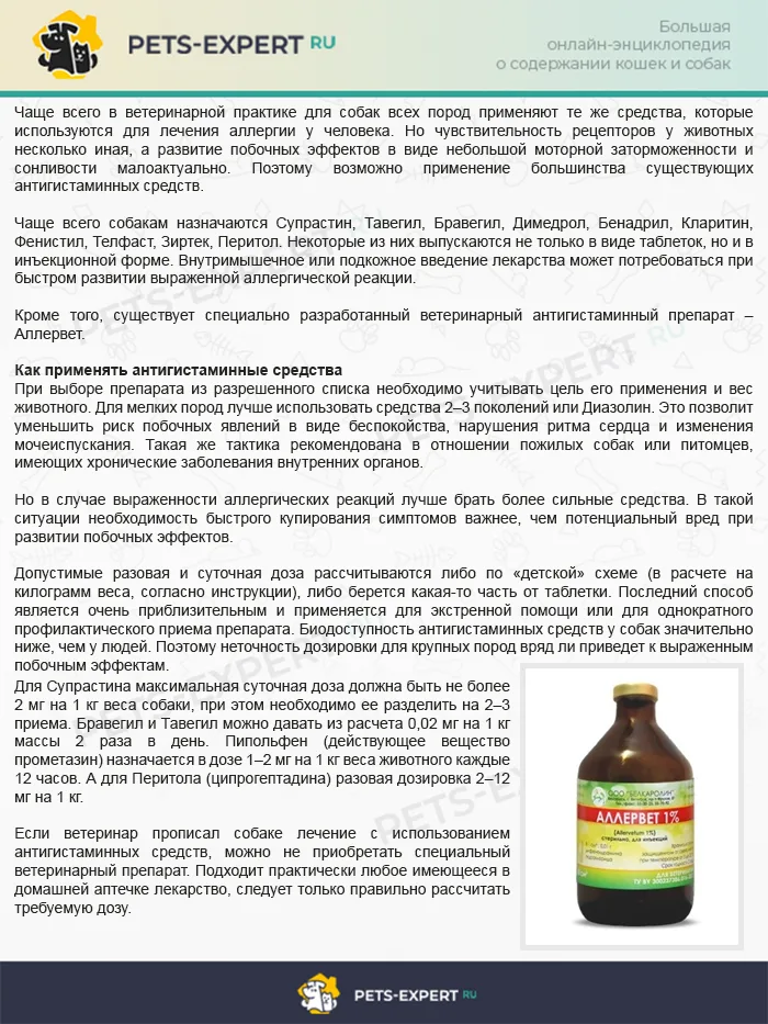 Антигистаминные препараты для собак