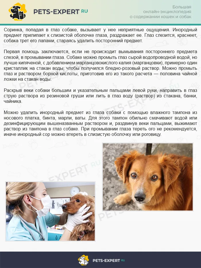 Инородное тело в глазу. Как удалить?