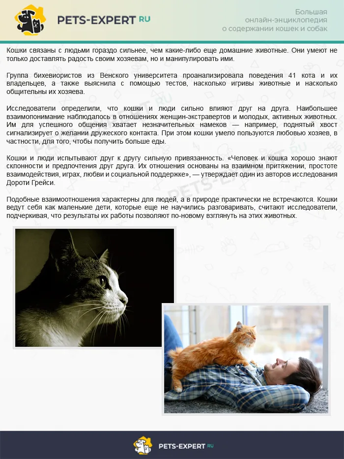 Интересный факт о взаимоотношениях кошек и людей