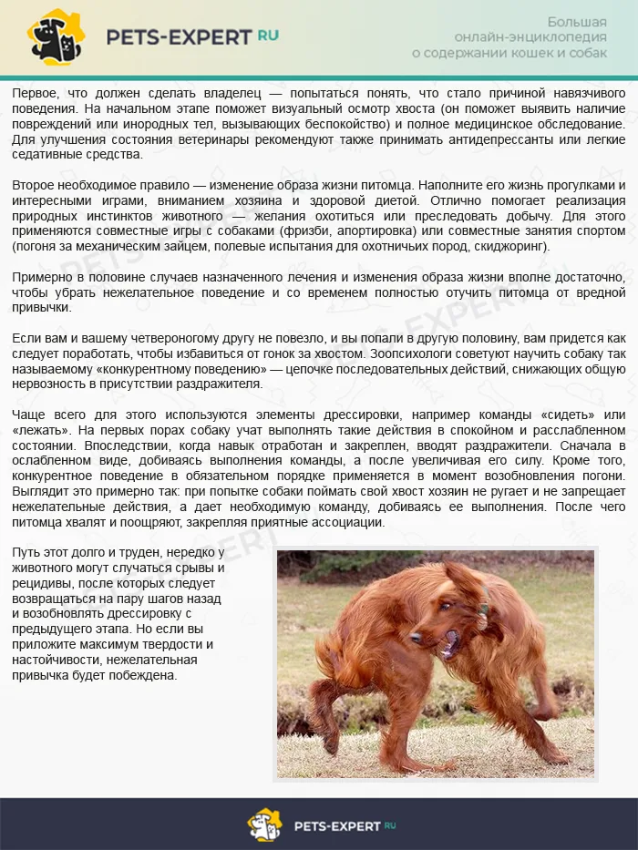 Как бороться с данной проблемой