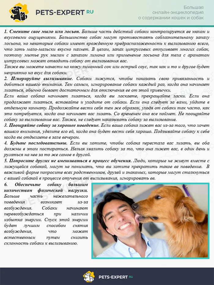 Как заставить собаку прекратить лезть лизаться
