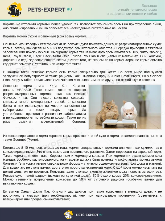 Как и чем правильно кормить котят и кошек (промышленные корма)