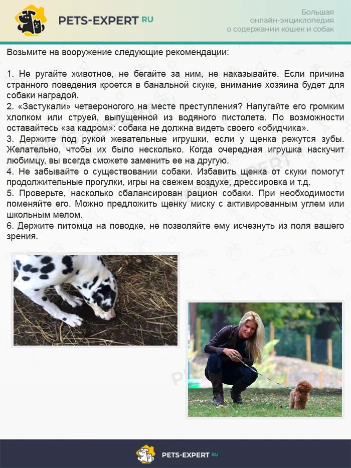 Как решить проблему с поеданием земли