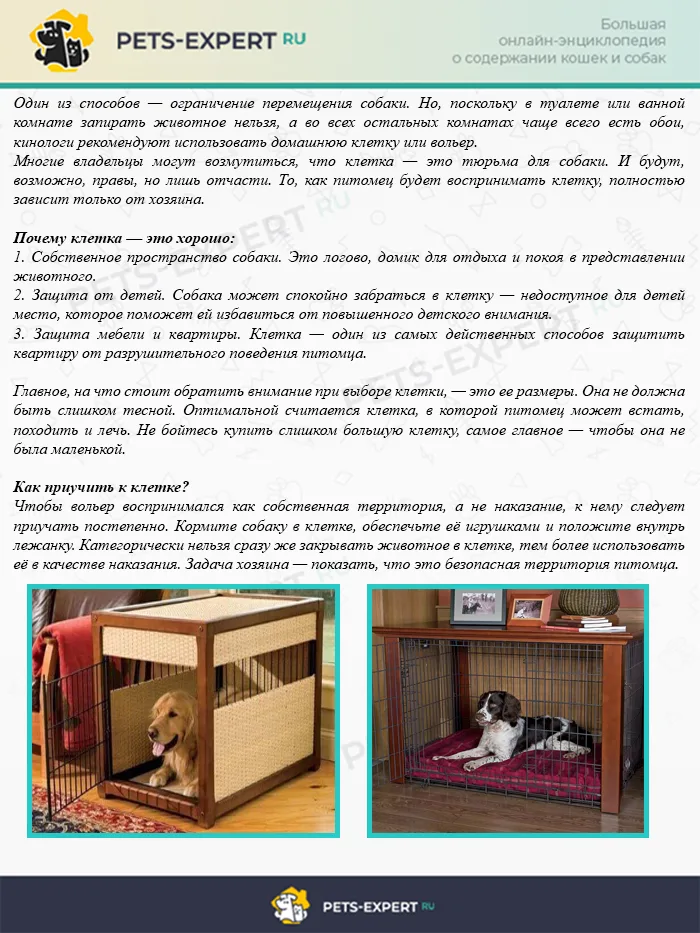 Клетка, как метод борьбы с нежелательным поведением