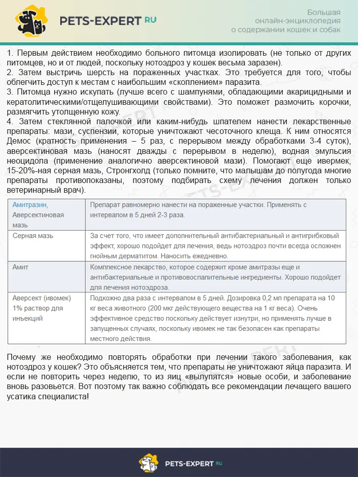 Пошаговая инструкция лечения нотоэдроза у кошек