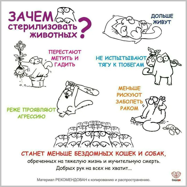 Преимущества стерилизации животных