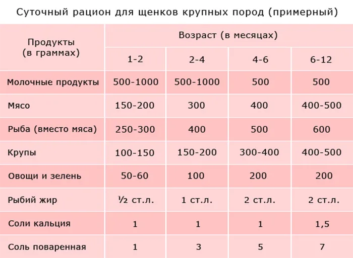 Примерная схема кормления щенка крупных пород