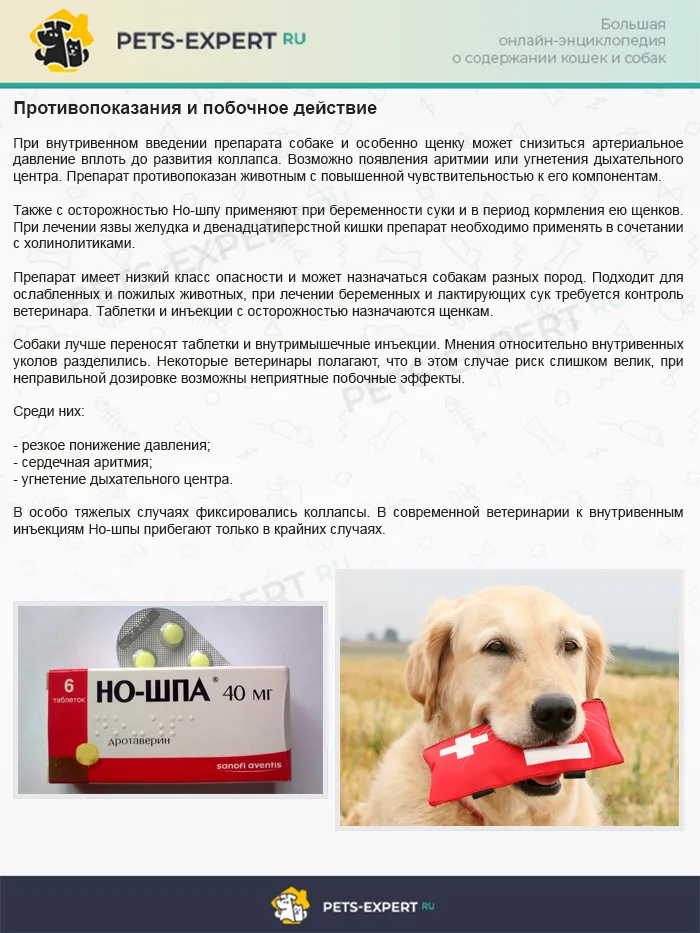 Противопоказания и побочное действие Но-шпы