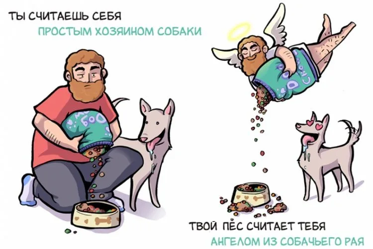 Собаки видят мир совершенно иначе, чем мы