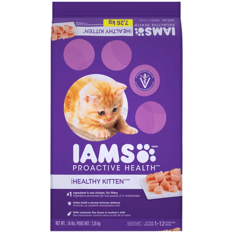 Iams Kitten