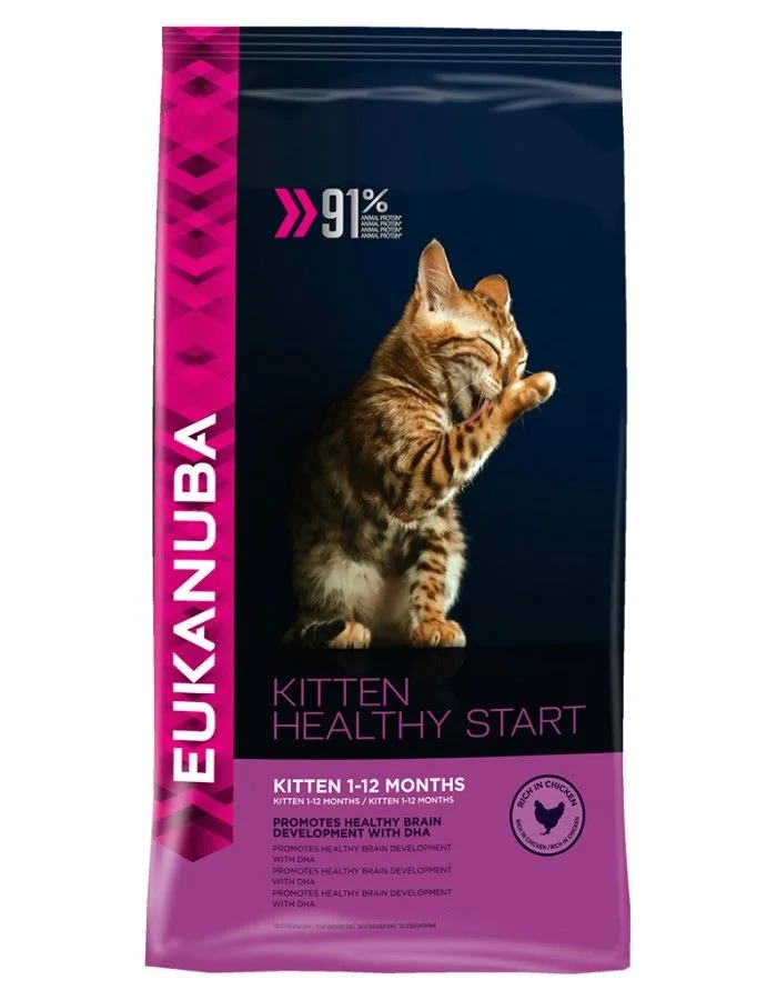 Eukanuba Kitten