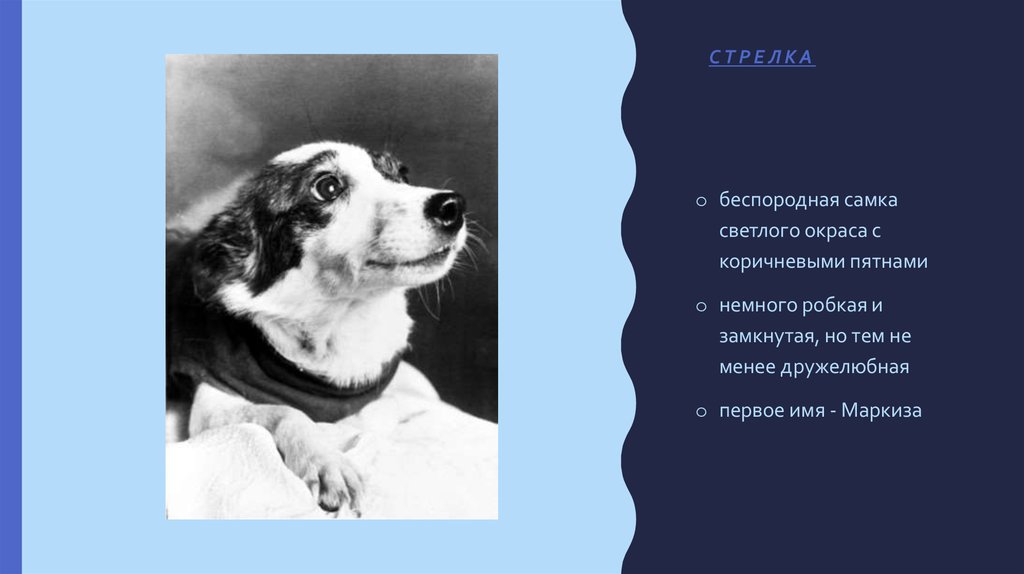 Характеристики Стрелки