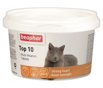 Лечение авитаминоза у кошки в домашних условиях thumbnail